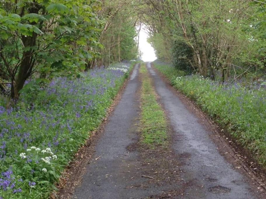 Drovers Cottage Tavistock  Luaran gambar