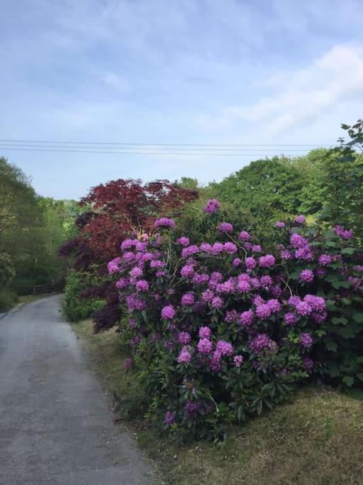 Drovers Cottage Tavistock  Luaran gambar